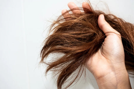 How To Care For Dry, Brittle Hair